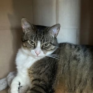 Meet your Posher, Morgan